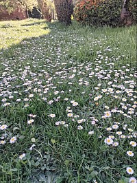 La nature est en nous